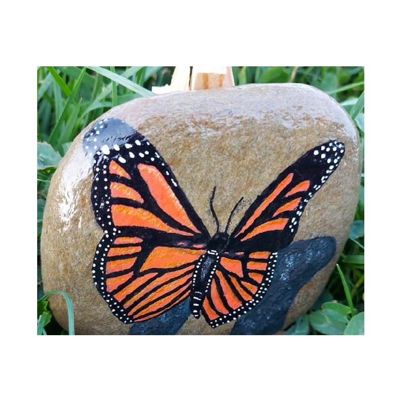 Galet papillon monarque