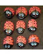 Coccinelle